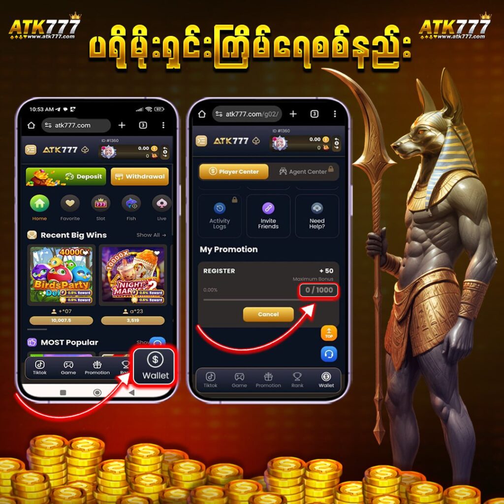 14_ပရိုမိုးရှင်းကြိမ်ရေစစ်နည်း